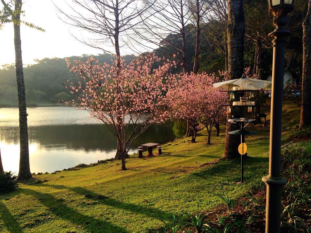 Hotel Fazenda Monte Verde Golf & Resort Vargem Alta Extérieur photo